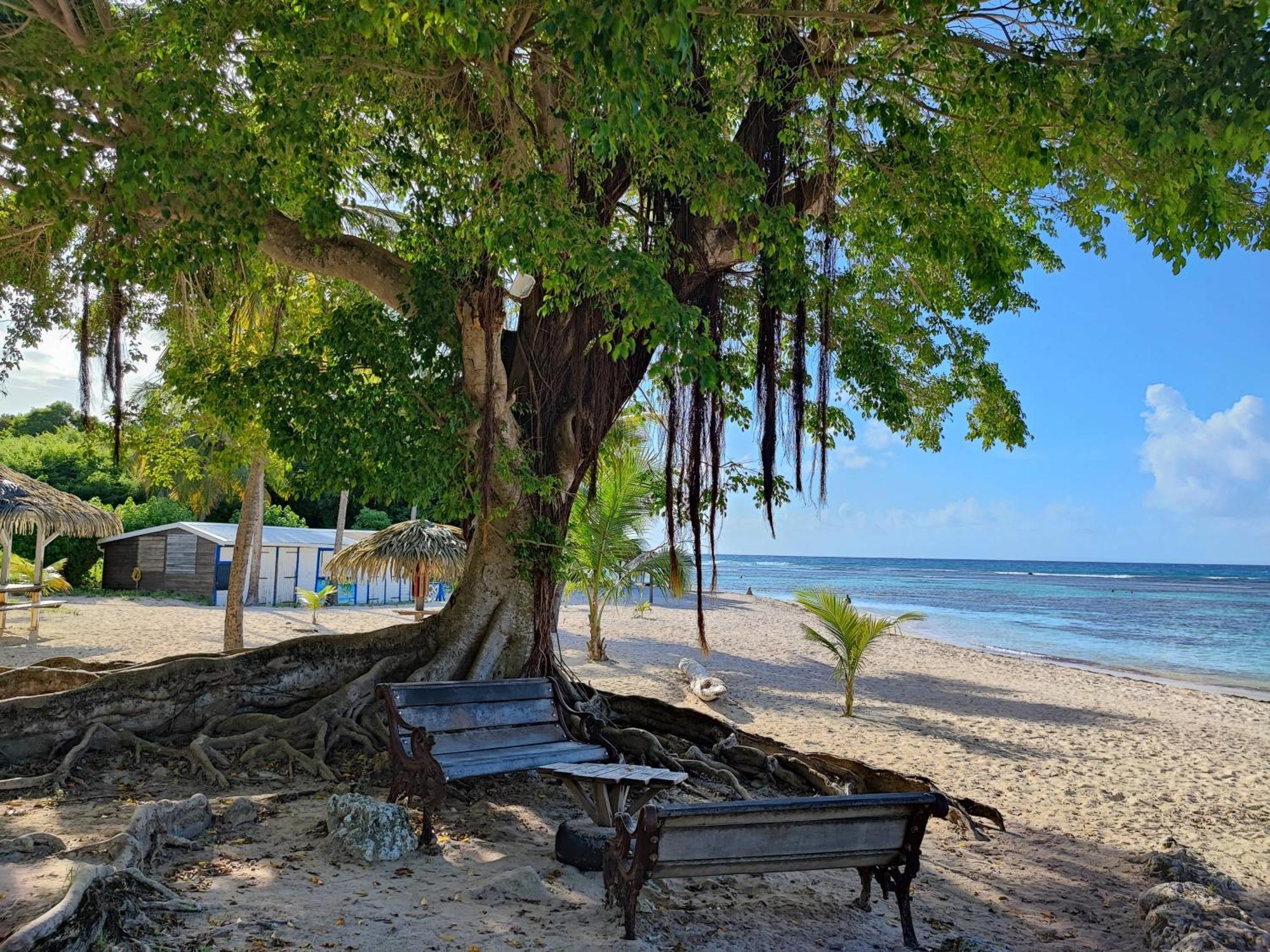 Studio Kawane Anse Des Rochers 303 Rdc, Cote Mer Saint-Francois  Buitenkant foto